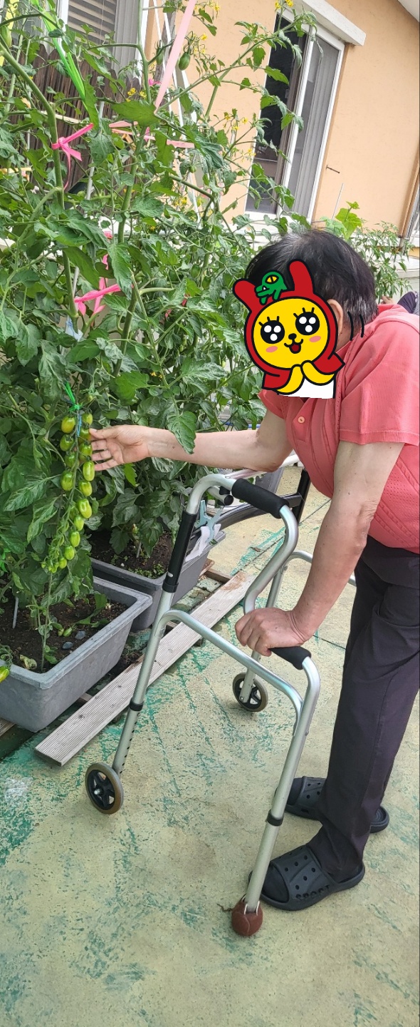 클릭시 확대이미지를 볼수 있습니다.